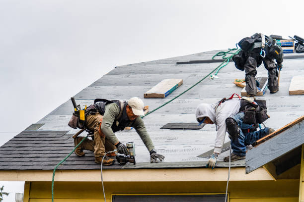 Professional Roof Replacement technician working in Danbury, TX
